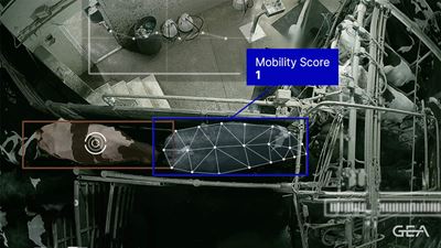 CattleEye Mobility Score