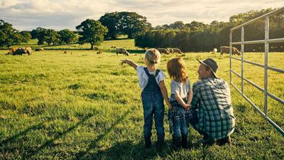 Dairy farming at GEA