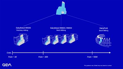 Platform strategy, automatic milking, AMS, batch milking