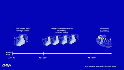 Platform strategy, automatic milking, AMS, batch milking