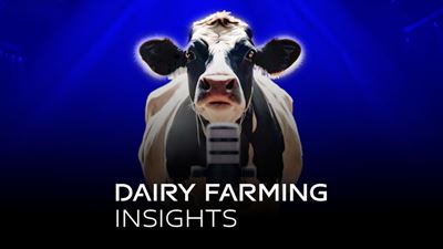 Dairy Farming Insights