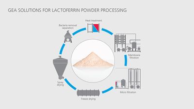 Soluzioni di processo per lattoferrina in polvere