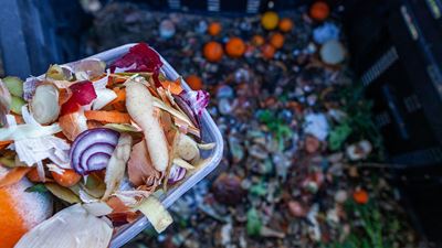 Food waste