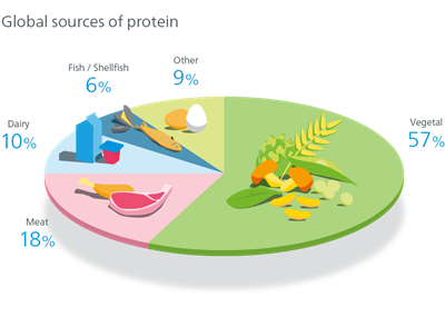 Global sources of protein