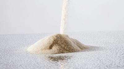 Spray dried protein powder