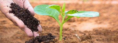 Agroquímicos de GEA central