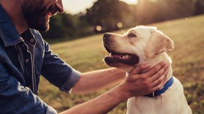 Dog with owner