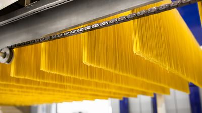 Linea per la produzione di pasta secca