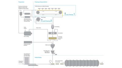 CONRAD Freeze dryer process flow